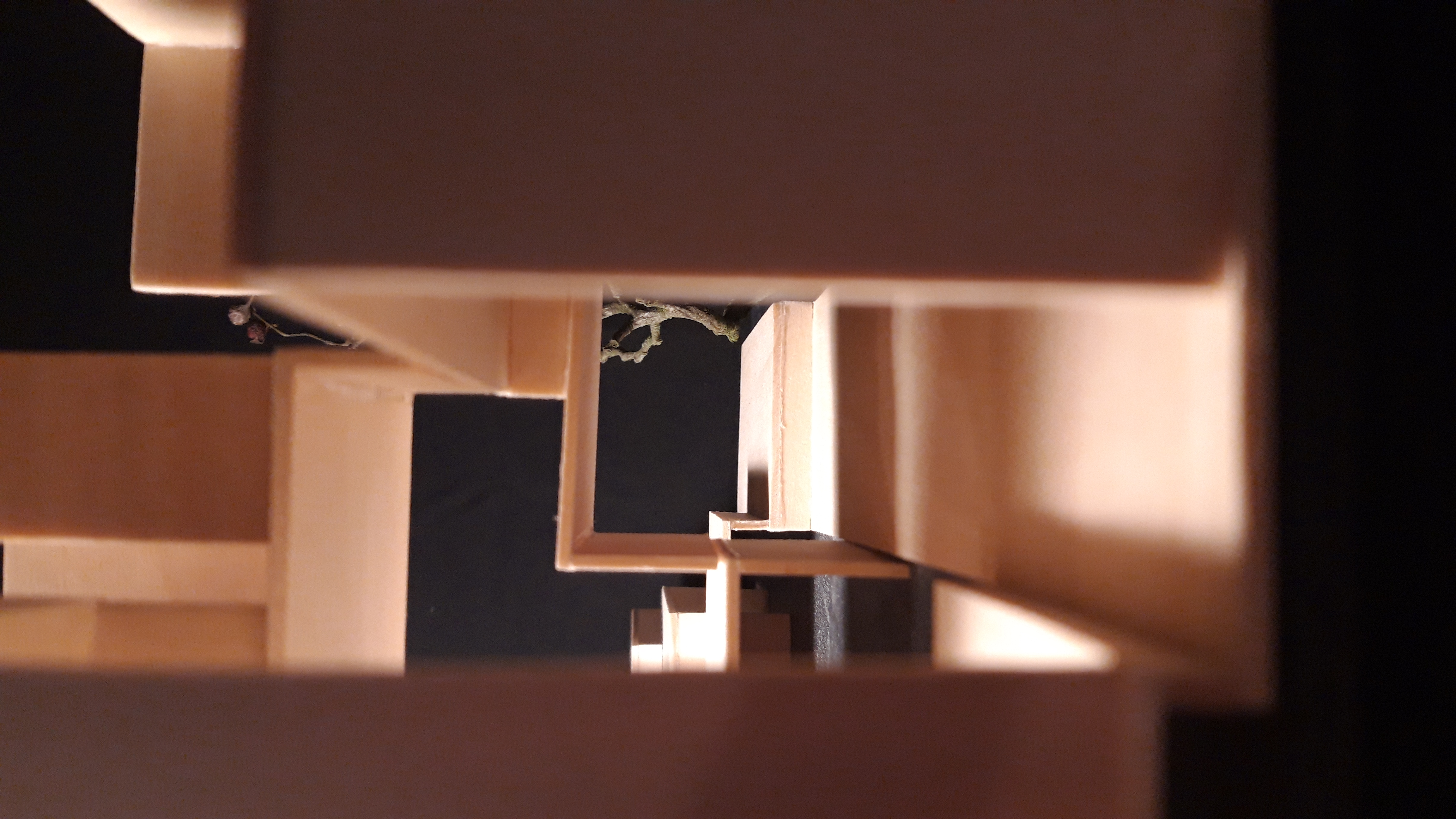 Studienprojekt aus dem ersten Semester. Johanna B.